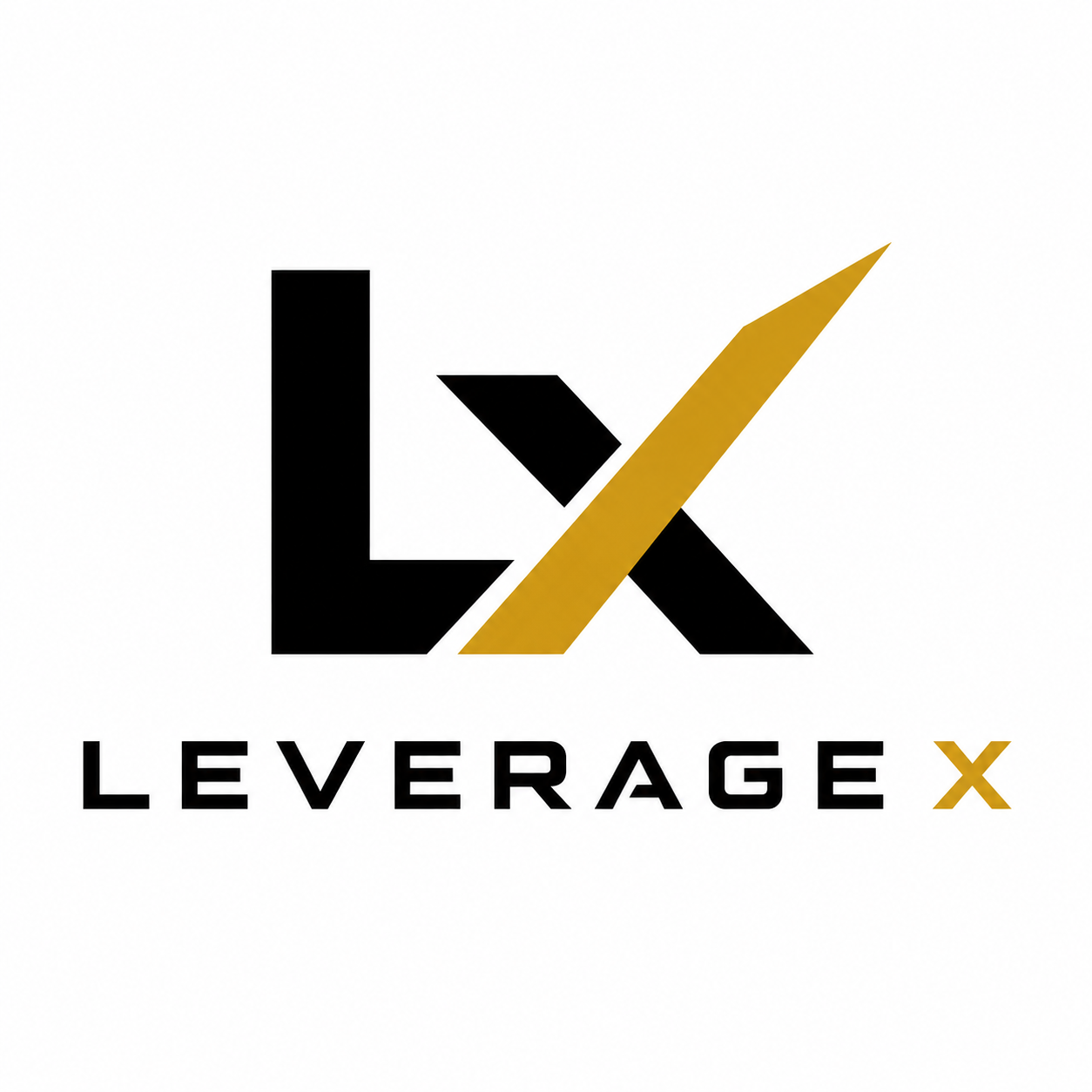Leverage X